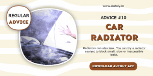 The Best Advice to Prolong Your...