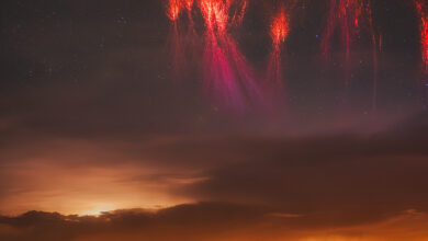 12 dazzling images from the 2025 Capture the Dark photography contest