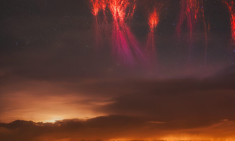 12 dazzling images from the 2025 Capture the Dark photography contest