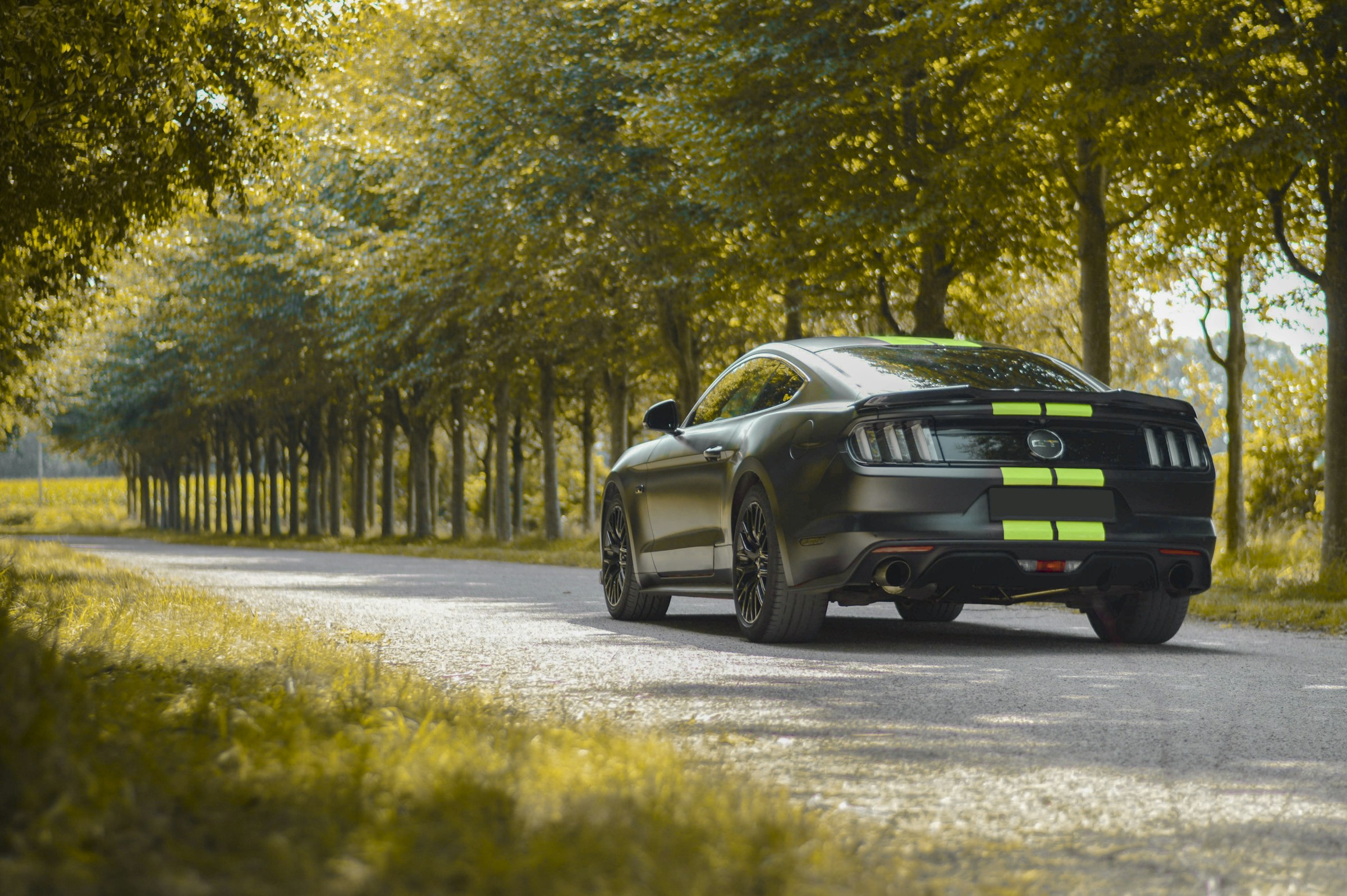 How to Choose the Right Carbon Fiber Trim for Your Muscle Car